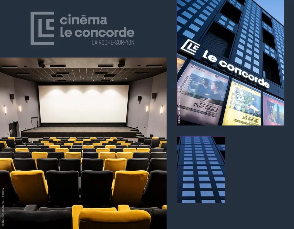 visuel-activites-cinema-1920x1500-demi.jpg